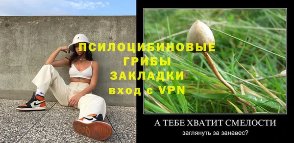 спиды Кинешма