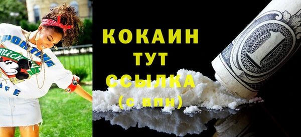 дмт Киреевск