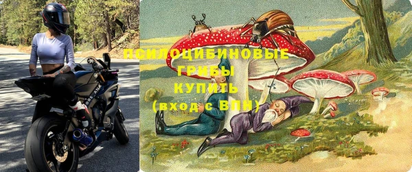 дмт Киреевск