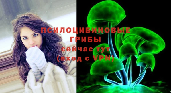 гашик Киренск