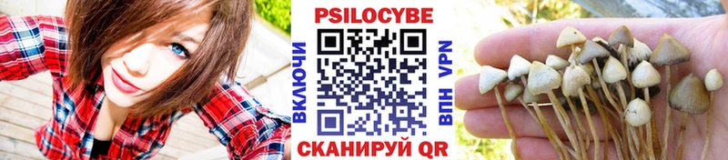 Галлюциногенные грибы прущие грибы  Купить где  Адыгейск 